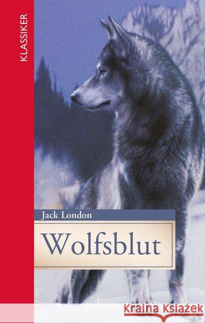 Wolfsblut London, Jack 9783764151195 Ueberreuter - książka