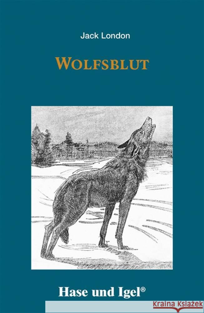 Wolfsblut London, Jack 9783863162313 Hase und Igel - książka