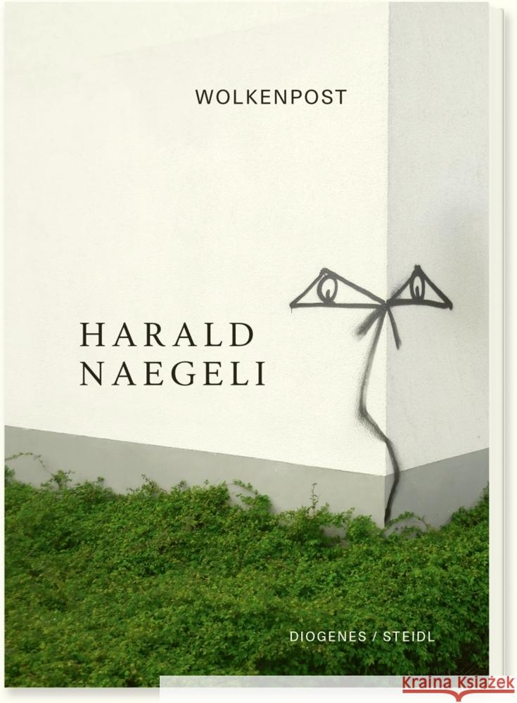 Wolkenpost Naegeli, Harald 9783257021769 Steidl - książka