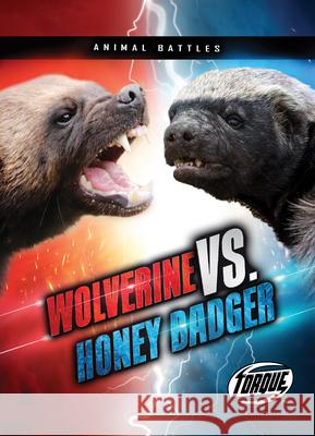 Wolverine vs. Honey Badger Kieran Downs 9781644874639 Torque - książka