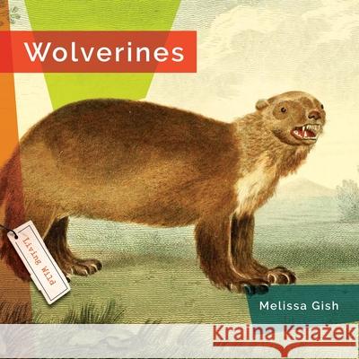 Wolverines Melissa Gish 9781682773635 Creative Paperbacks - książka