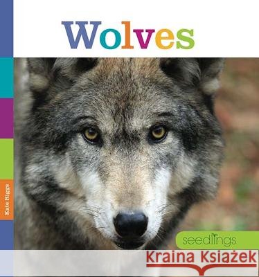 Wolves Kate Riggs 9780898128901 Creative Paperbacks - książka