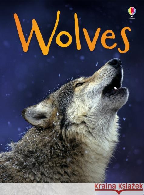 Wolves James Maclaine 9781409530695 Usborne Publishing Ltd - książka