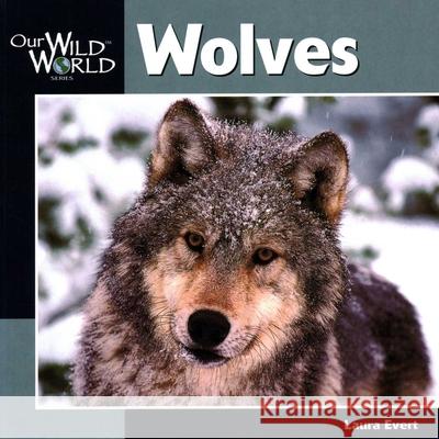 Wolves Laura Evert John F. McGee 9781559717489 Northword Press - książka