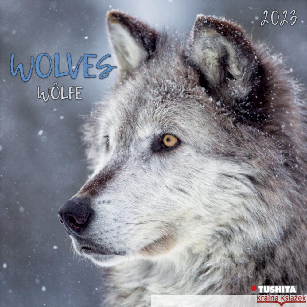 Wolves 2023  9783959290531 Tushita - książka
