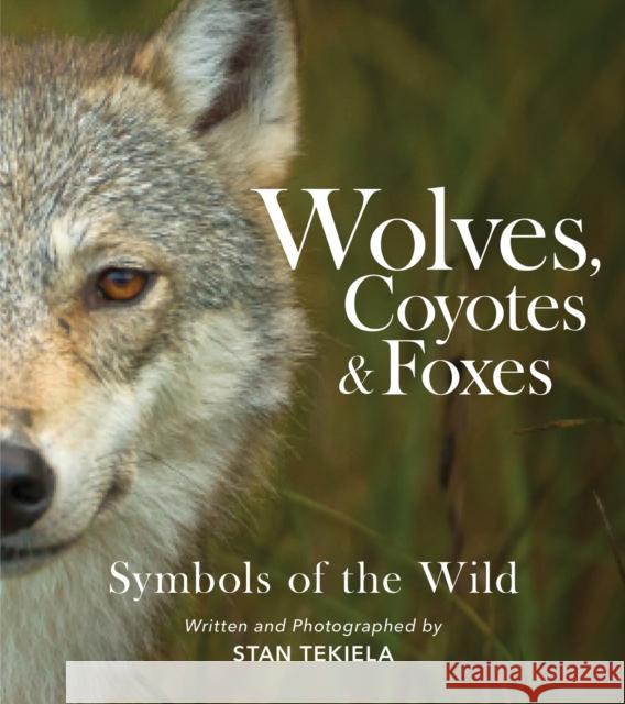 Wolves, Coyotes & Foxes: Symbols of the Wild Stan Tekiela 9781647553159 Adventure Publications, Incorporated - książka