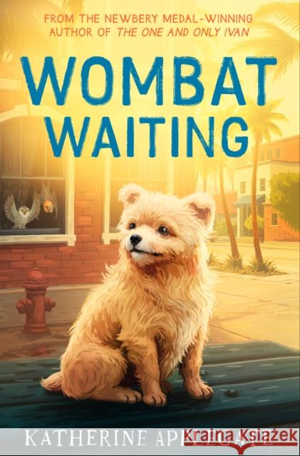 Wombat Waiting Katherine Applegate 9780008814144 HarperCollins Publishers - książka