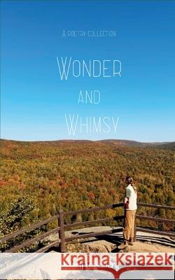 Wonder and Whimsy Sydney Fogelberg 9789369532049 Bookleaf Publishing - książka