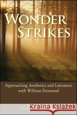 Wonder Strikes: Approaching Aesthetics and Literature with William Desmond Steven E. Knepper William Desmond 9781438489551 State University of New York Press - książka