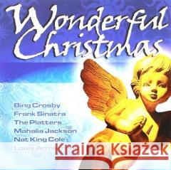 Wonderful Christmas CD Various Artists 8717423006480 Dgr Christ - książka