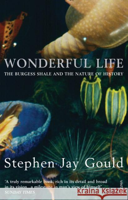 Wonderful Life Stephen Jay Gould 9780099273455 Vintage Publishing - książka