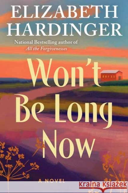 Won't Be Long Now Elizabeth Hardinger 9781496758767 John Scognamiglio Book - książka