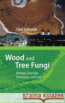 Wood and Tree Fungi: Biology, Damage, Protection, and Use Schmidt, Olaf 9783540321385 Springer - książka