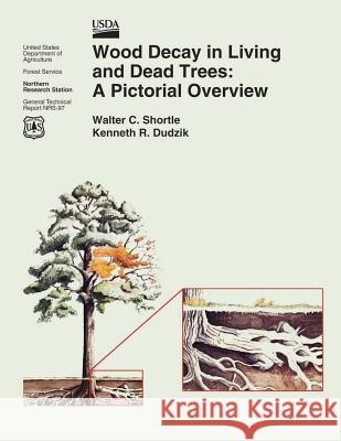 Wood Decay in Living and Dead Trees: A Pictorial Overview United States Department of Agriculture 9781505826821 Createspace - książka