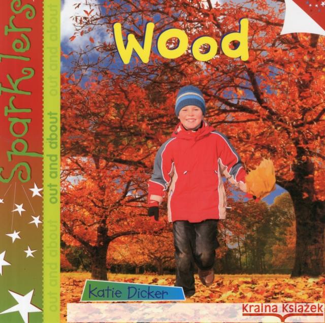 Wood: Sparklers - Out and About Katie Dicker 9781909850071 Laburnum Press - książka