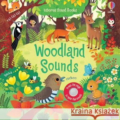 Woodland Sounds Sam Taplin Federica Iossa 9781805070436 Usborne Books - książka