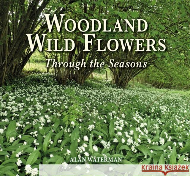 Woodland Wild Flowers: Through the Seasons Alan Waterman 9781913159252 Merlin Unwin Books - książka