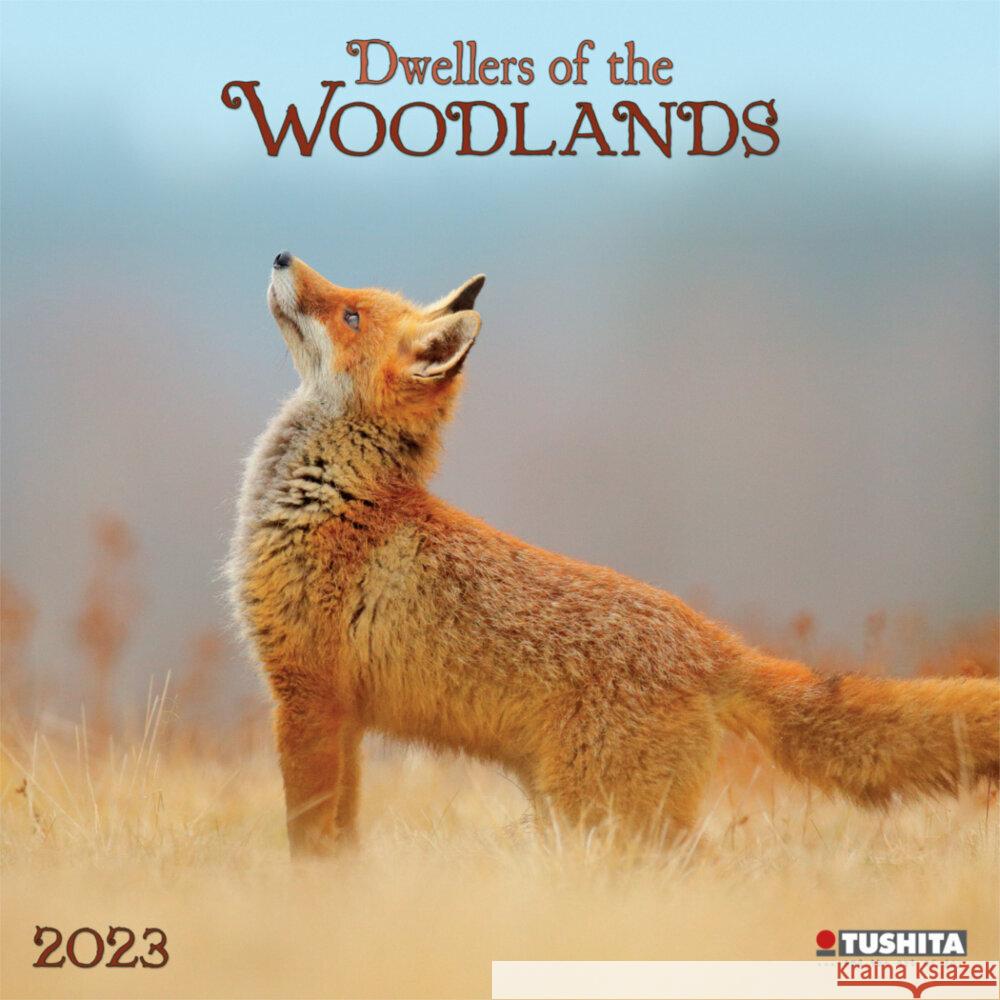 Woodlands/Bewohner des Waldes 2023  9783959290487 Tushita - książka