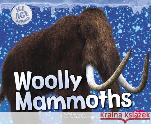 Woolly Mammoths Melissa Higgins 9781491423202 Capstone Press - książka