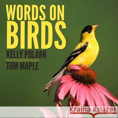 Words on Birds Kelly Polark Tom Maple 9780988846241 Big Smile Press LLC - książka