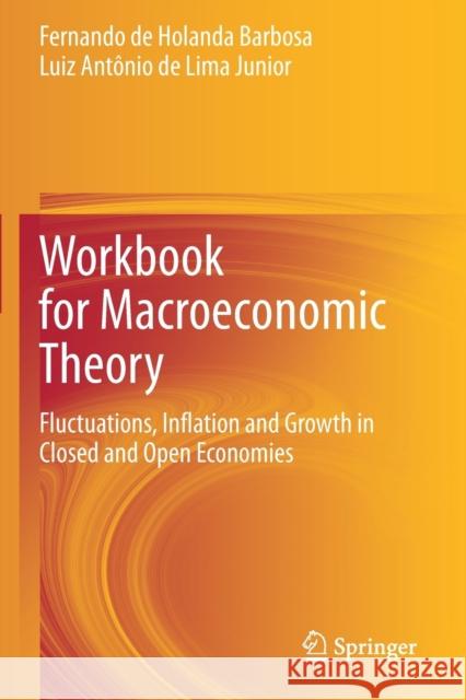 Workbook for Macroeconomic Theory: Fluctuations, Inflation and Growth in Closed and Open Economies Fernando De Holanda Barbosa Luiz Ant 9783030615505 Springer - książka