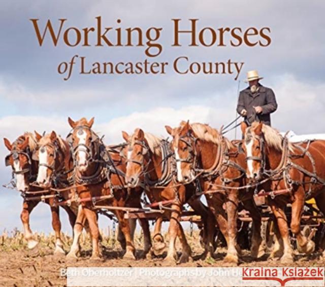 Working Horses of Lancaster County Beth Oberholtzer John Herr 9780764361616 Schiffer Publishing - książka