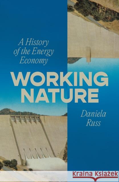 Working Nature: Steam, Power, and the Failure of the Energy Economy Daniela Russ 9781804298978 Verso - książka