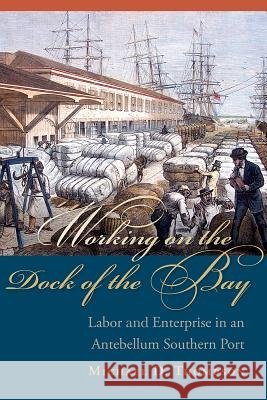Working on the Dock of the Bay: Labor and Enterprise in an Antebellum Southern Port Michael D. Thompson 9781611174748 University of South Carolina Press - książka