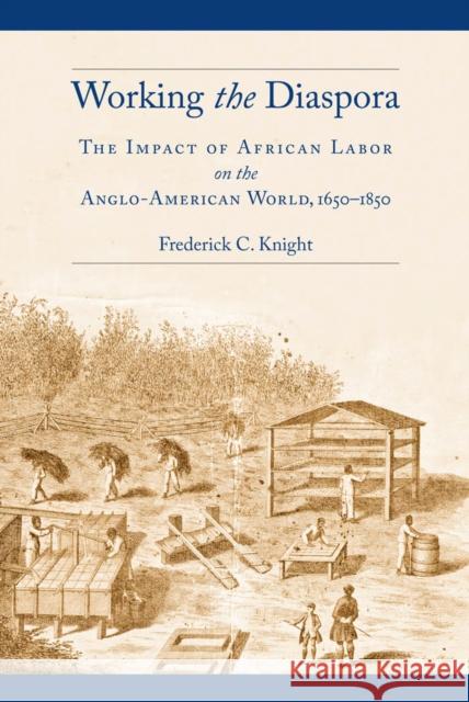 Working the Diaspora: The Impact of African Labor on the Anglo-American World, 1650-1850 Frederick Knight 9780814748183 New York University Press - książka