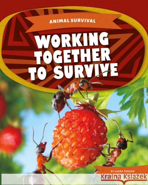 Working Together to Survive Laura Perdew 9781644947715 North Star Editions - książka