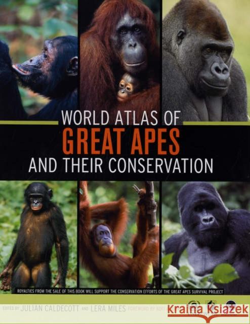 World Atlas of Great Apes and Their Conservation Caldecott, Julian 9780520246331 University of California Press - książka
