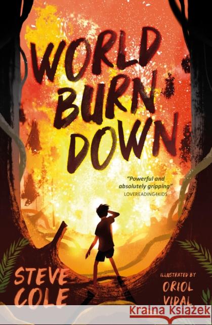 World Burn Down Cole, Steve 9781781129463 Barrington Stoke Ltd - książka