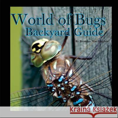 World of Bugs 2: Backyard Guide Brandee Hughes Crystal Murphy 9780983829560 Bula Bug - książka
