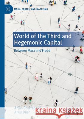 World of the Third and Hegemonic Capital Anjan Chakrabarti, Anup Dhar 9783031250194 Springer International Publishing - książka