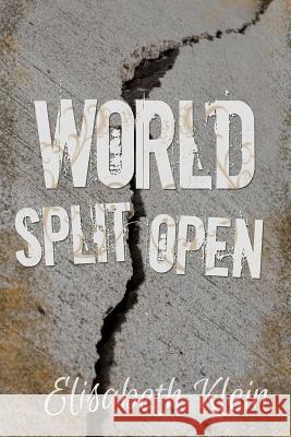 World Split Open Elisabeth Klein 9781632326614 Redemption Press - książka