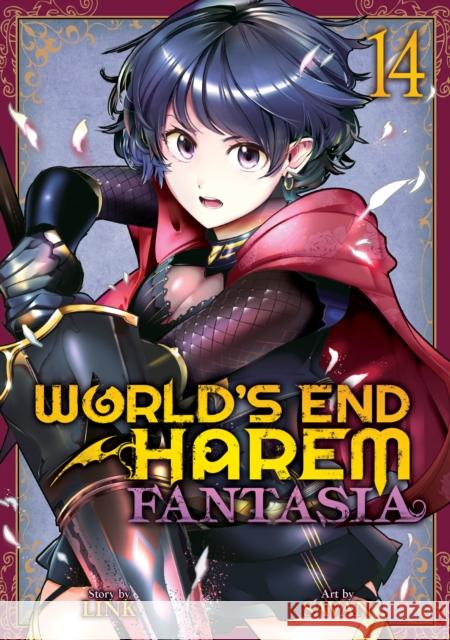 World's End Harem: Fantasia Vol. 14 Link 9798891609204 Seven Seas Entertainment, LLC - książka