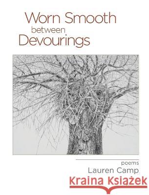 Worn Smooth between Devourings Lauren Camp   9781630451028 NYQ Books - książka