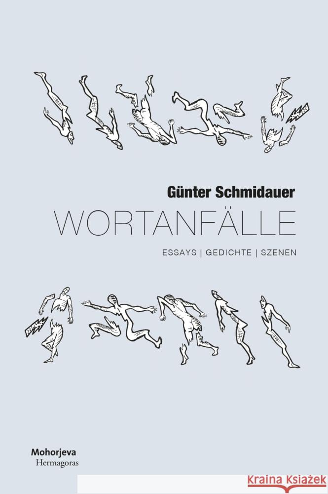 Wortanfälle Schmidauer, Günter 9783708613130 Hermagoras - książka
