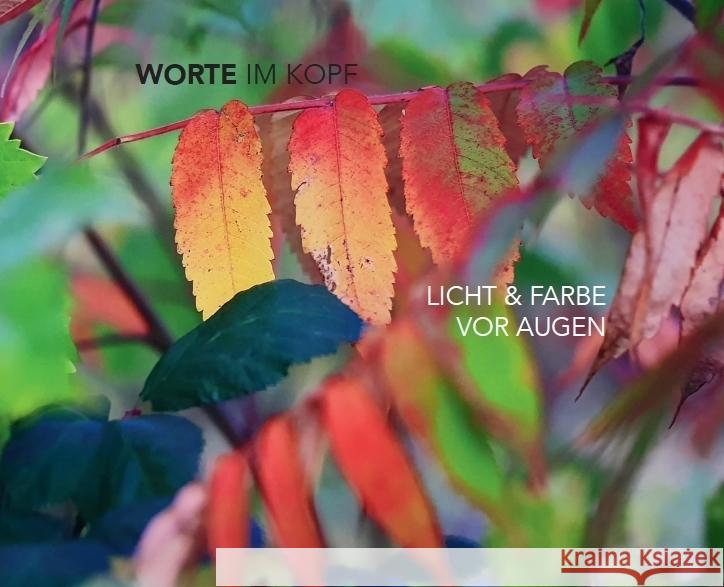 Worte im Kopf - Licht & Farbe vor Augen Andersson, Lea, Roth, Hanns Christian 9783959764674 Kunstverlag Josef Fink - książka