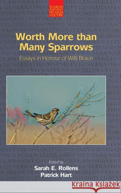 Worth More Than Many Sparrows: Essays in Honour of Willi Braun Sarah E. Rollens Patrick Hart 9781800501966 Equinox Publishing - książka