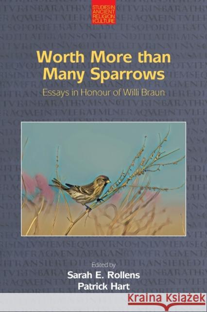 Worth More Than Many Sparrows: Essays in Honour of Willi Braun Sarah E. Rollens Patrick Hart 9781800501973 Equinox Publishing Ltd - książka