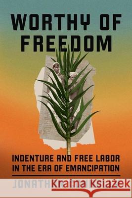 Worthy of Freedom: Indenture and Free Labor in the Era of Emancipation Jonathan Connolly 9780226833620 The University of Chicago Press - książka