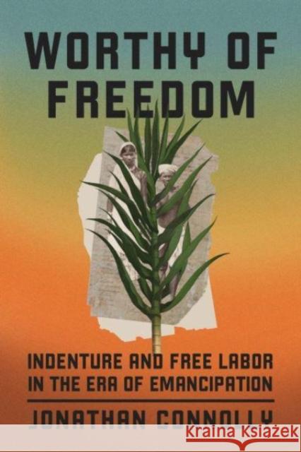 Worthy of Freedom: Indenture and Free Labor in the Era of Emancipation Jonathan Connolly 9780226833644 The University of Chicago Press - książka