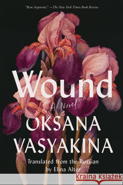 Wound Oksana Vasyakina Elina Alter 9781646222346 Catapult - książka