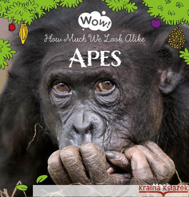 Wow! Apes. How Much We Look Alike Mack van Gageldonk 9781605379609 Clavis - książka