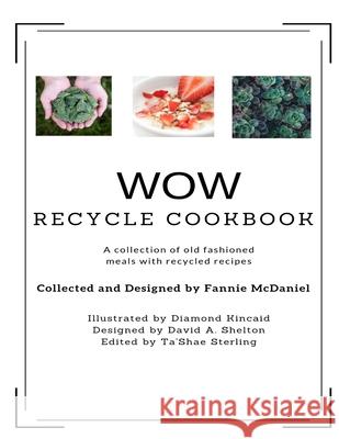 WOW Recycling Cookbook Fannie McDaniel 9780359610594 Lulu.com - książka