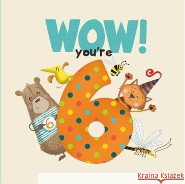 WOW! You're Six birthday book Lucy Tapper   9781907860416 FROM YOU TO ME - książka