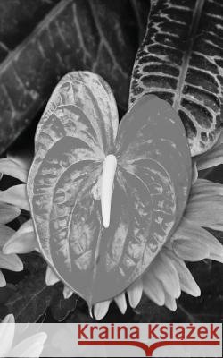 Wrapped In Beauty: B/W Johnson, Faron H. 9781984243249 Createspace Independent Publishing Platform - książka