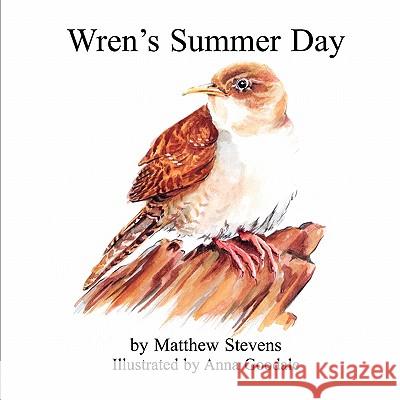 Wren's Summer Day Matthew Stevens 9781609761660 Eloquent Books - książka