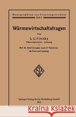 Wärmewirtschaftsfragen Litinsky, Leonid 9783662333914 Springer - książka
